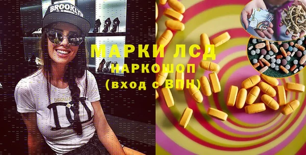 ГАЛЛЮЦИНОГЕННЫЕ ГРИБЫ Аркадак