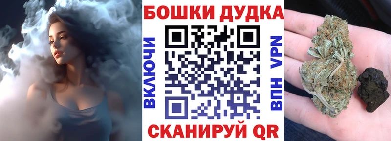 Бошки Шишки планчик  Пересвет 